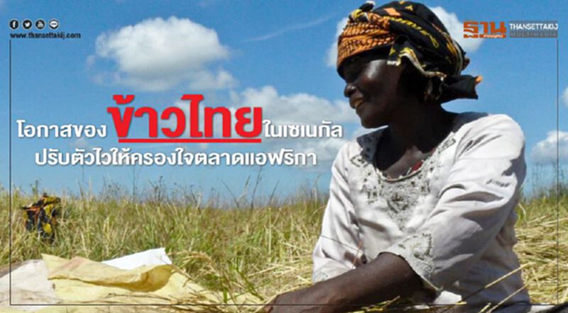 โอกาสข้าวไทยในเซเนกัล ปรับตัวไวให้ครองใจตลาดแอฟริกา โอกาสข้าวไทยในเซเนกัล ปรับตัวไวให้ครองใจตลาดแอฟริกา