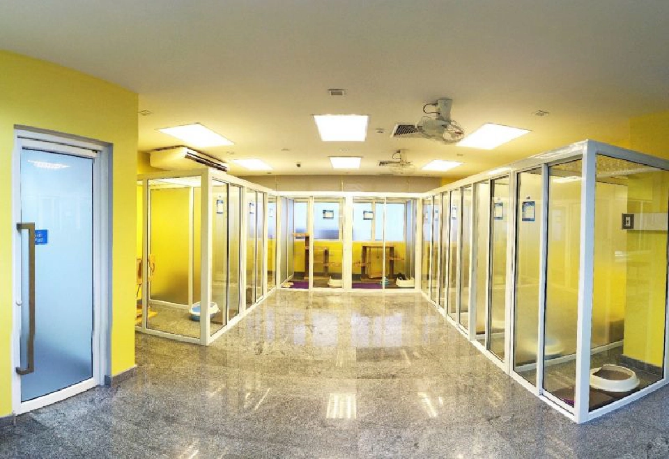 ทาสแมวเฮ ทองหล่อเปิด “Medical Cat Hotel”