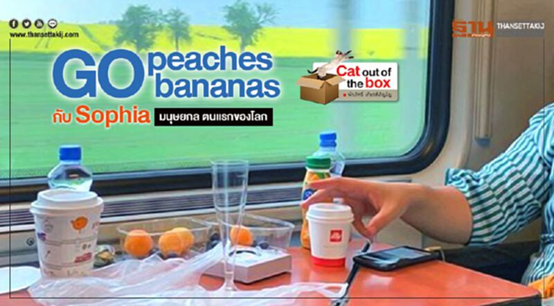 Go peaches, Go bananas กับ Sophia มนุษยกล ตนแรกของโลก Go peaches, Go bananas กับ Sophia มนุษยกล ตนแรกของโลก