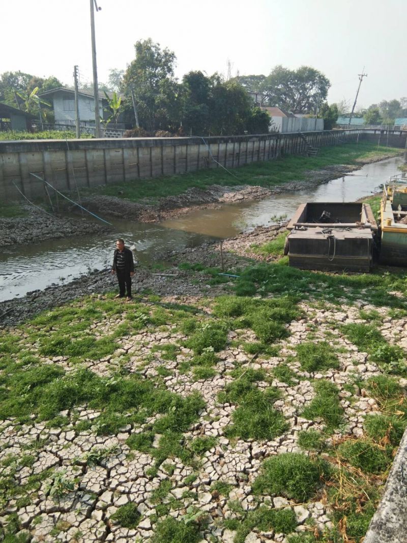 งดจ่ายเยียวยาชาวนาฝืนทำนาปรังกว่า 3 ล้านไร่