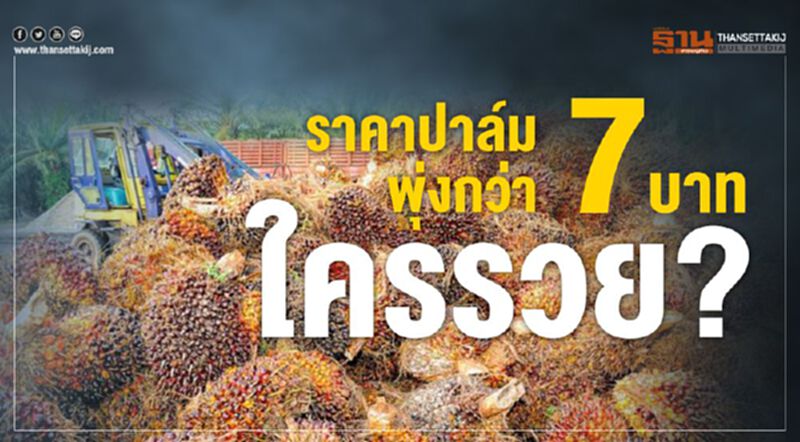 ราคาปาล์มพุ่งกว่า 7 บาท ใครรวย? ราคาปาล์มพุ่งกว่า 7 บาท ใครรวย?