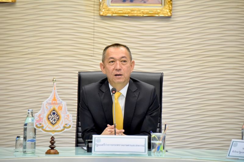 ลดพื้นที่ปลูกข้าวเหลว