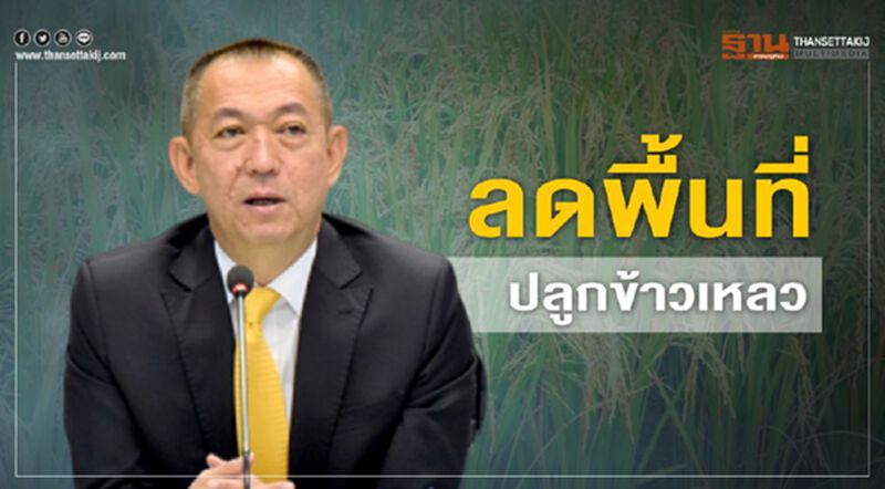 ลดพื้นที่ปลูกข้าวเหลว ลดพื้นที่ปลูกข้าวเหลว