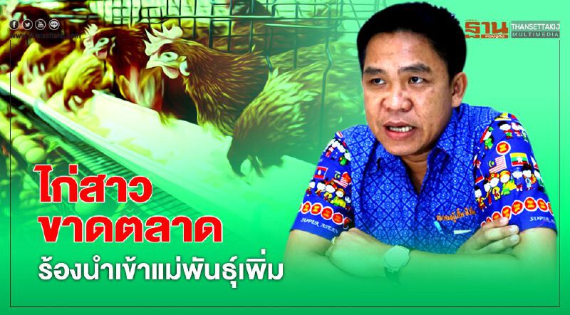 ไก่สาวขาดตลาดร้องนำเข้าแม่พันธุ์เพิ่ม
