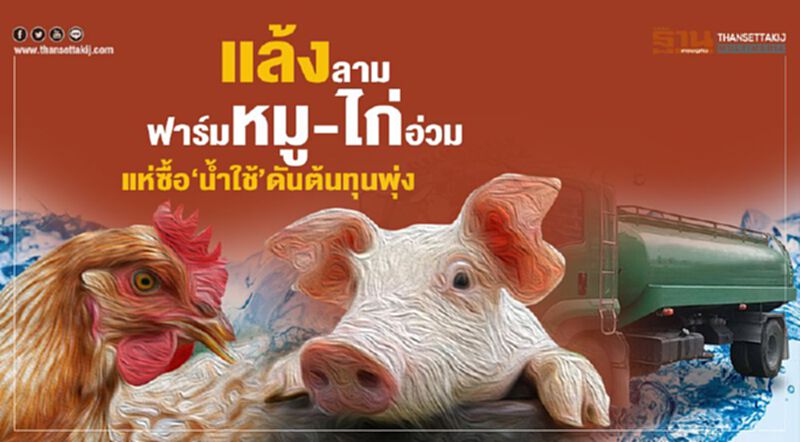 แล้งลามฟาร์มหมู-ไก่อ่วม แห่ซื้อ‘นํ้าใช้’ดันต้นทุนพุ่ง แล้งลามฟาร์มหมู-ไก่อ่วม แห่ซื้อ‘นํ้าใช้’ดันต้นทุนพุ่ง