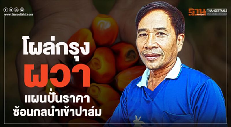 โผล่กรุงผวาแผนปั่นราคาซ้อนกลนำเข้าปาล์ม โผล่กรุงผวาแผนปั่นราคาซ้อนกลนำเข้าปาล์ม