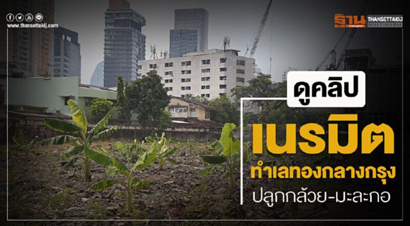 ผุด"สวนกล้วย-มะละกอ"กลางกรุงภาษีที่ดินลดฮวบ700% ผุด"สวนกล้วย-มะละกอ"กลางกรุงภาษีที่ดินลดฮวบ700%