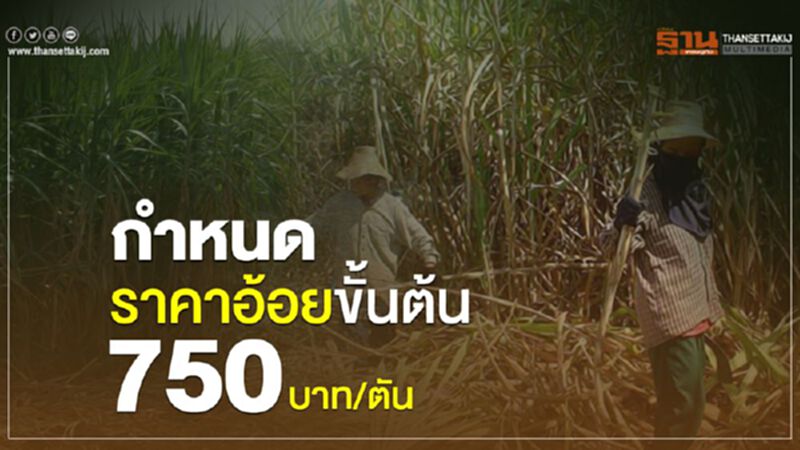 กำหนดราคาอ้อยขั้นต้น 750 บาท/ตัน กำหนดราคาอ้อยขั้นต้น 750 บาท/ตัน