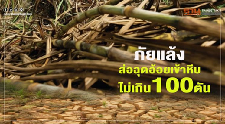 ภัยแล้งส่อฉุดอ้อยเข้าหีบไม่เกิน 100 ตัน ภัยแล้งส่อฉุดอ้อยเข้าหีบไม่เกิน 100 ตัน