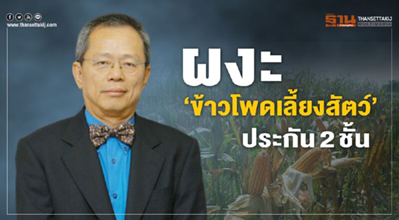 ผงะ ‘ข้าวโพดเลี้ยงสัตว์’ ประกัน 2 ชั้น ผงะ ‘ข้าวโพดเลี้ยงสัตว์’ ประกัน 2 ชั้น