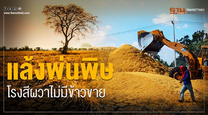 แล้งพ่นพิษโรงสีผวาไม่มีข้าวขาย แล้งพ่นพิษโรงสีผวาไม่มีข้าวขาย