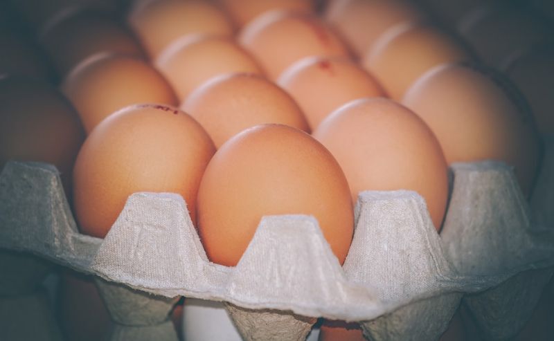 หย่าศึก “ปมนำเข้าแม่ไก่ไข่” หวั่นบานปลาย