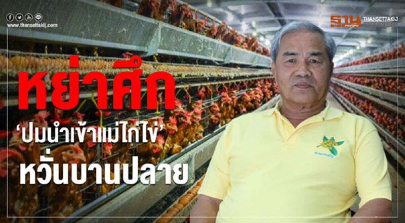 หย่าศึก “ปมนำเข้าแม่ไก่ไข่” หวั่นบานปลาย หย่าศึก “ปมนำเข้าแม่ไก่ไข่” หวั่นบานปลาย