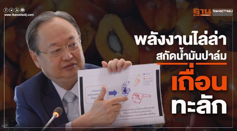 พลังงานไล่ล่า สกัดน้ำมันปาล์มเถือนทะลัก พลังงานไล่ล่า สกัดน้ำมันปาล์มเถือนทะลัก