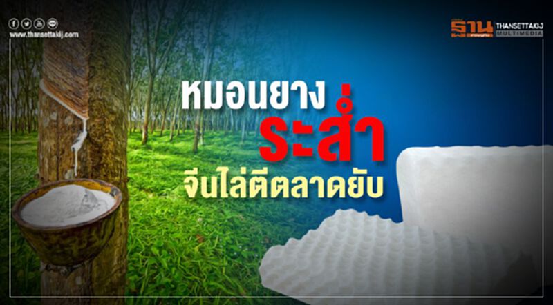 หมอนยางระสํ่า จีนไล่ตีตลาดยับ หมอนยางระสํ่า จีนไล่ตีตลาดยับ