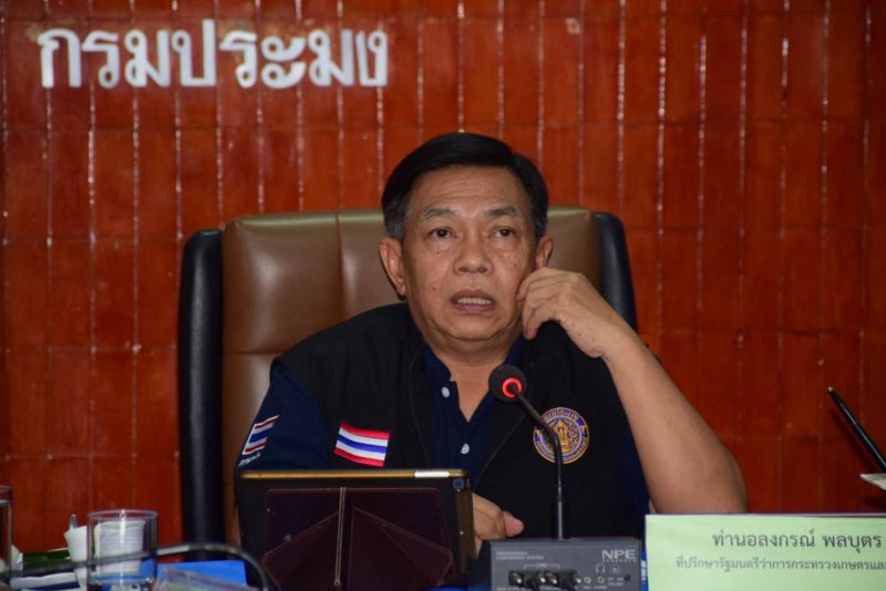 สั่งเข้มสกัดสัตว์น้ำนอกทะลักทุบในประเทศดิ่ง