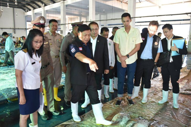 สั่งเข้มสกัดสัตว์น้ำนอกทะลักทุบในประเทศดิ่ง