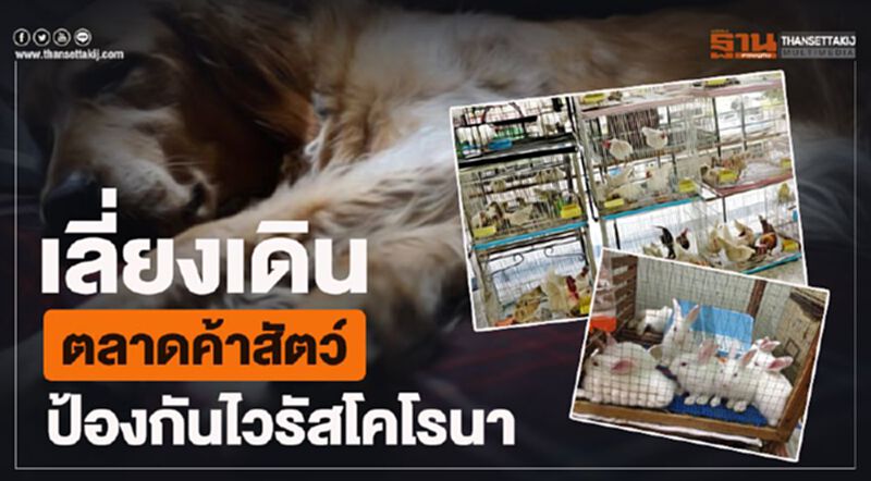 เลี่ยงเดิน “ตลาดค้าสัตว์” ป้องกันไวรัสพันธุ์ใหม่ เลี่ยงเดิน “ตลาดค้าสัตว์” ป้องกันไวรัสพันธุ์ใหม่