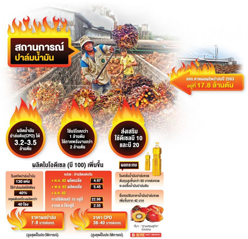 ปาล์มพุ่งไม่หยุด  40โรงสกัดเบรกผลิต
