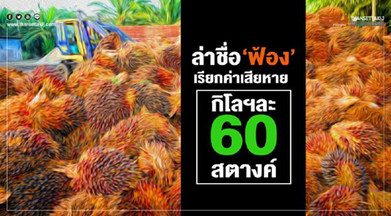 ล่าชื่อฟ้องเรียกค่าเสียหายกิโลฯ ละ 60 สตางค์ ล่าชื่อฟ้องเรียกค่าเสียหายกิโลฯ ละ 60 สตางค์