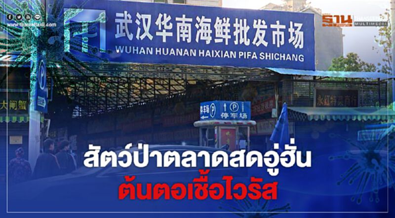 จีนยัน"สัตว์ป่า"ตลาดสดอู่ฮั่น ต้นตอเชื้อไวรัสโคโรนา จีนยัน"สัตว์ป่า"ตลาดสดอู่ฮั่น ต้นตอเชื้อไวรัสโคโรนา