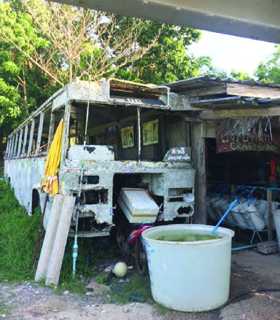 มัจฉาสตรีท  กับการจัดการทรัพยากรประมง