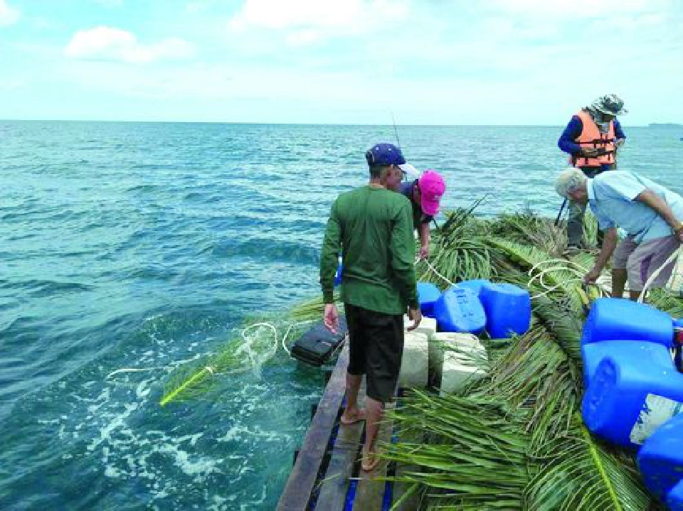 มัจฉาสตรีท  กับการจัดการทรัพยากรประมง