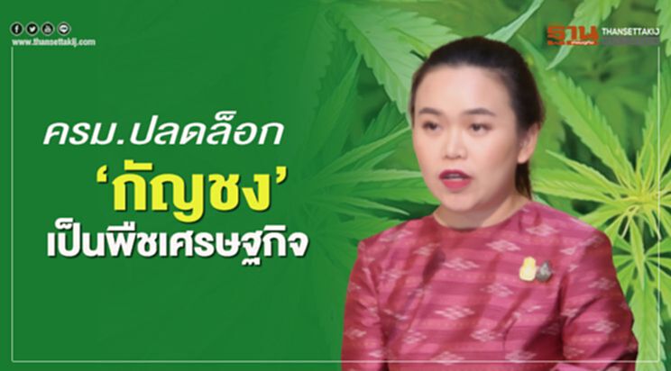 ครม.ปลดล็อก"กัญชง" จากยาเสพติด เป็นพืชเศรษฐกิจ ครม.ปลดล็อก"กัญชง" จากยาเสพติด เป็นพืชเศรษฐกิจ