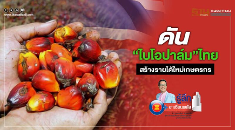 ดัน “ไบโอปาล์ม”ไทย สร้างรายได้ใหม่เกษตรกร ดัน “ไบโอปาล์ม”ไทย สร้างรายได้ใหม่เกษตรกร
