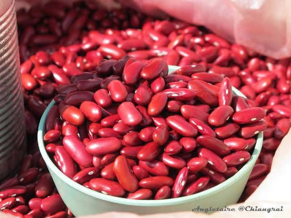 บีน ถั่วแดง‘อะซึกิ’ เทงบขยายกำลังผลิต รองรับออร์เดอร์ต่างประเทศ