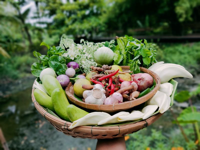 ‘สวนสามพราน’ ชวนกินอาหารเป็นยา