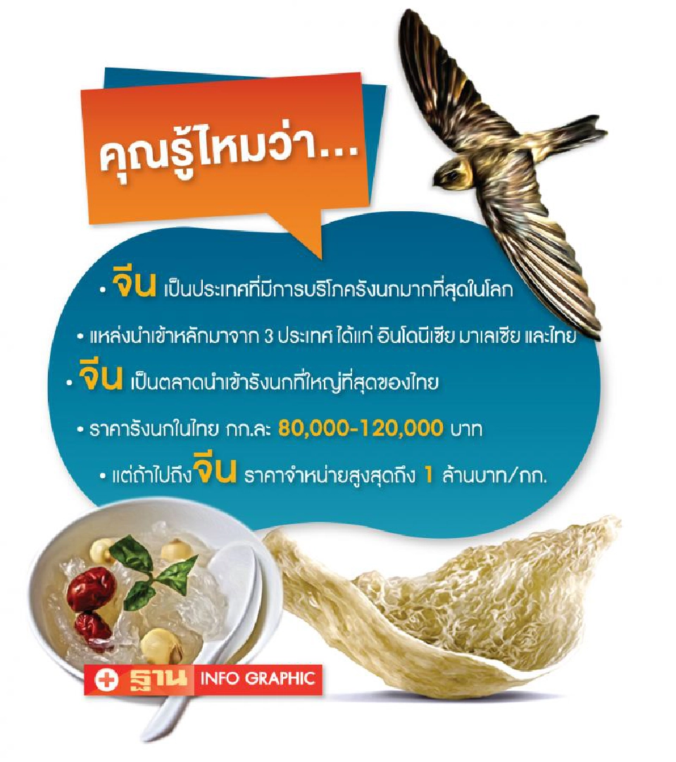 รังนกไทยรุกตลาดจีน สร้างมูลค่าธุรกิจหมื่นล้าน