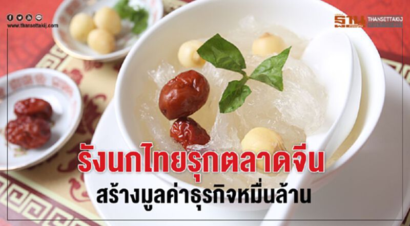 รังนกไทยรุกตลาดจีน สร้างมูลค่าธุรกิจหมื่นล้าน รังนกไทยรุกตลาดจีน สร้างมูลค่าธุรกิจหมื่นล้าน
