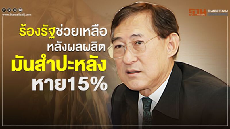 ร้องรัฐช่วยเหลือหลังผลผลิตมันสำปะหลังหาย15% ร้องรัฐช่วยเหลือหลังผลผลิตมันสำปะหลังหาย15%