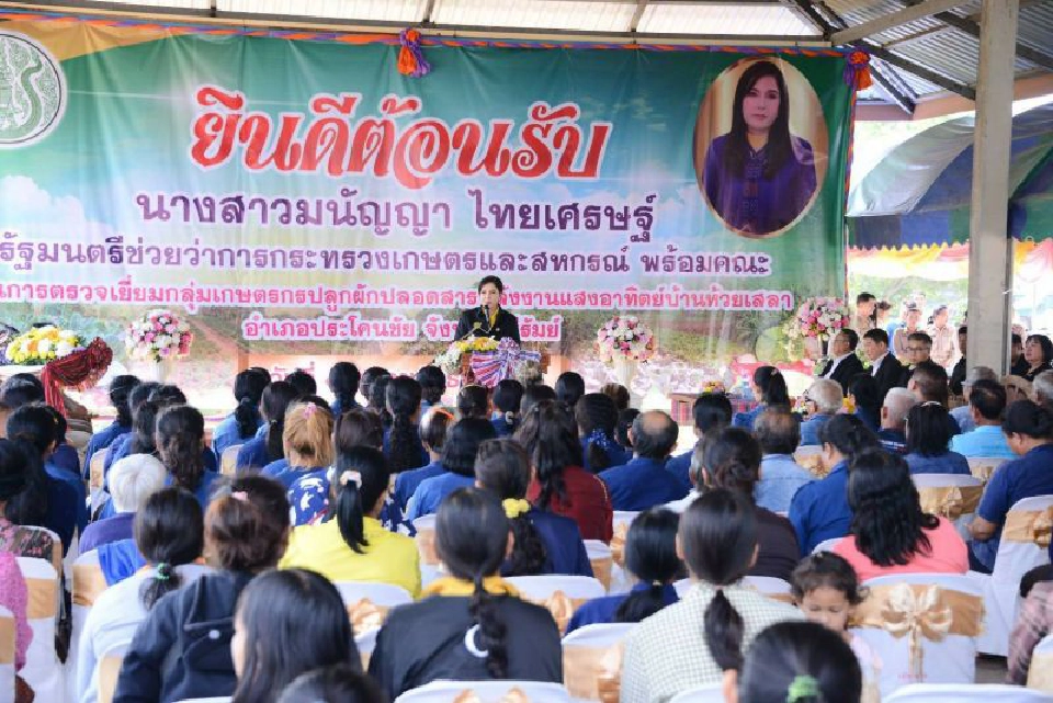 ดึงห้างรับซื้อผักปลอดสารพลังงานแสงอาทิตย์