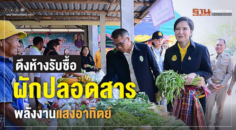 ดึงห้างรับซื้อผักปลอดสารพลังงานแสงอาทิตย์ ดึงห้างรับซื้อผักปลอดสารพลังงานแสงอาทิตย์