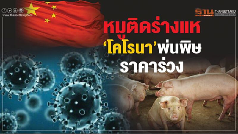 หมูติดร่างแห ‘โคโรนา’พ่นพิษราคาร่วง หมูติดร่างแห ‘โคโรนา’พ่นพิษราคาร่วง