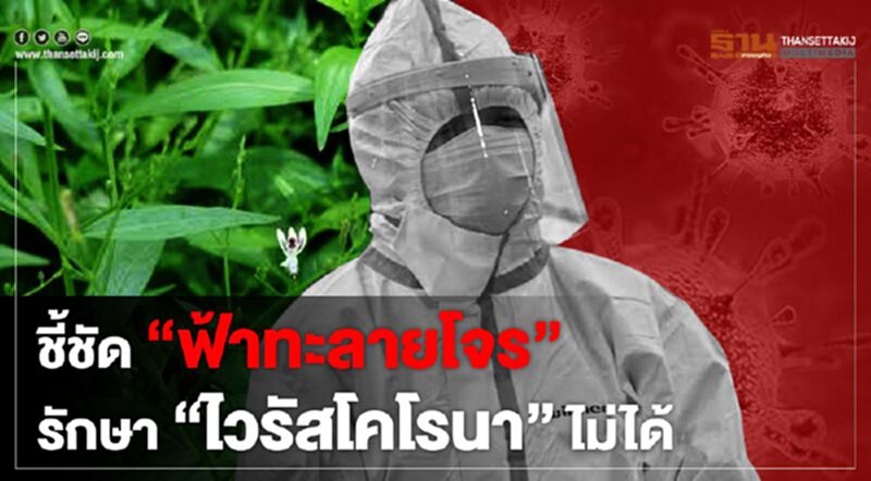 ชี้ชัด "ฟ้าทะลายโจร" รักษา "ไวรัสโคโรนา" ไม่ได้ ชี้ชัด "ฟ้าทะลายโจร" รักษา "ไวรัสโคโรนา" ไม่ได้