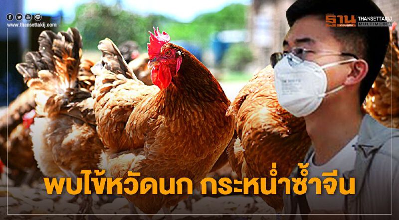 พบไข้หวัดนก H5N1 เริ่มระบาดฟาร์มไก่ในจีน
