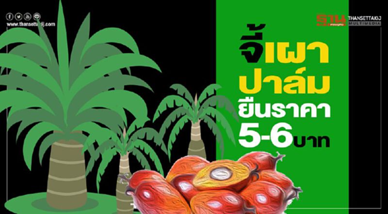 จี้เผาปาล์ม ยืนราคา5-6บาท จี้เผาปาล์ม ยืนราคา5-6บาท