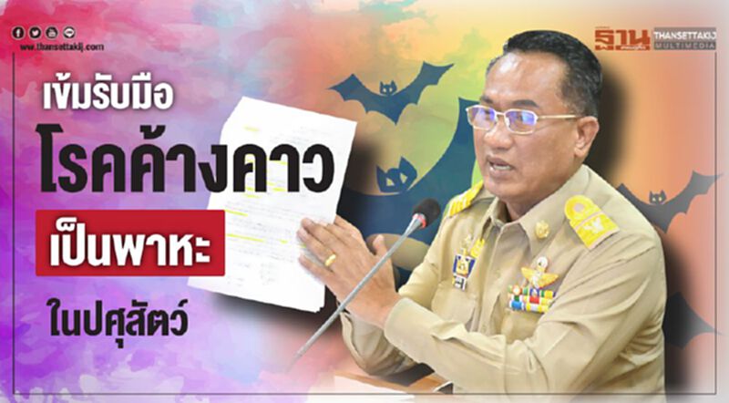 เข้มรับมือโรคค้างคาวเป็นพาหะในปศุสัตว์ เข้มรับมือโรคค้างคาวเป็นพาหะในปศุสัตว์