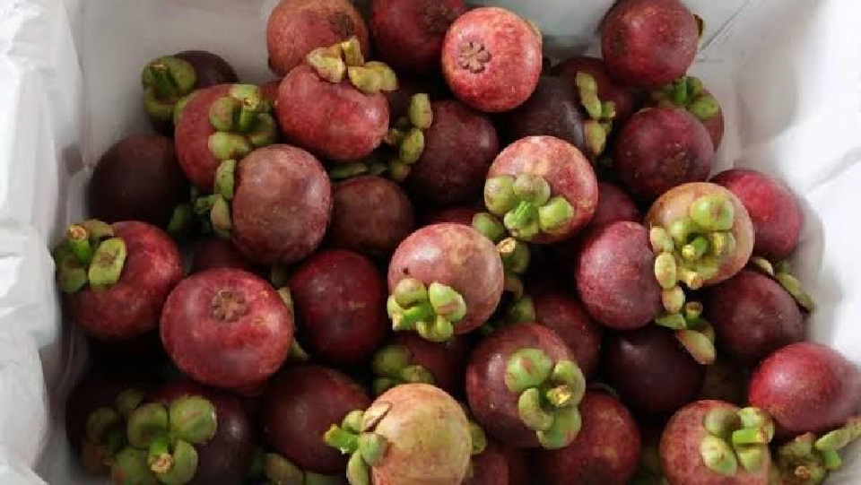 ส่งออก-นำเข้าจีนโกลาหล ผลไม้ไทย 3 หมื่นล้านสะดุด