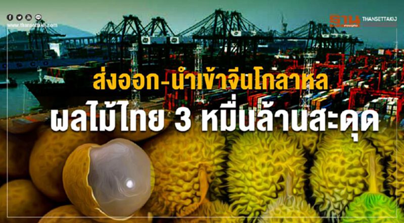 ส่งออก-นำเข้าจีนโกลาหล ผลไม้ไทย 3 หมื่นล้านสะดุด ส่งออก-นำเข้าจีนโกลาหล ผลไม้ไทย 3 หมื่นล้านสะดุด