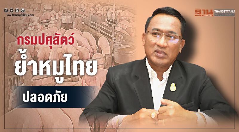 กรมปศุสัตว์ย้ำหมูไทยปลอดภัย กรมปศุสัตว์ย้ำหมูไทยปลอดภัย