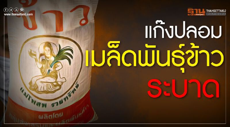 แก๊งปลอมเมล็ดพันธุ์ข้าวระบาด