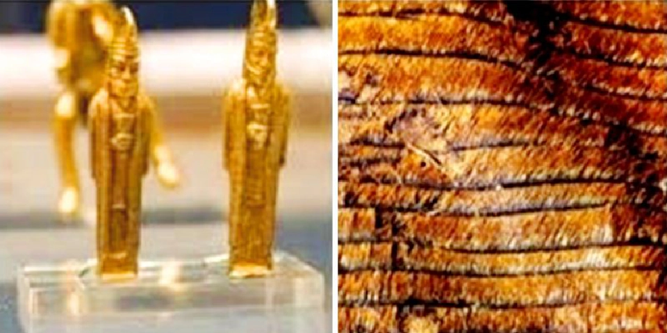 หนังแกะหนังแพะดักละอองทองที่ออกซุส