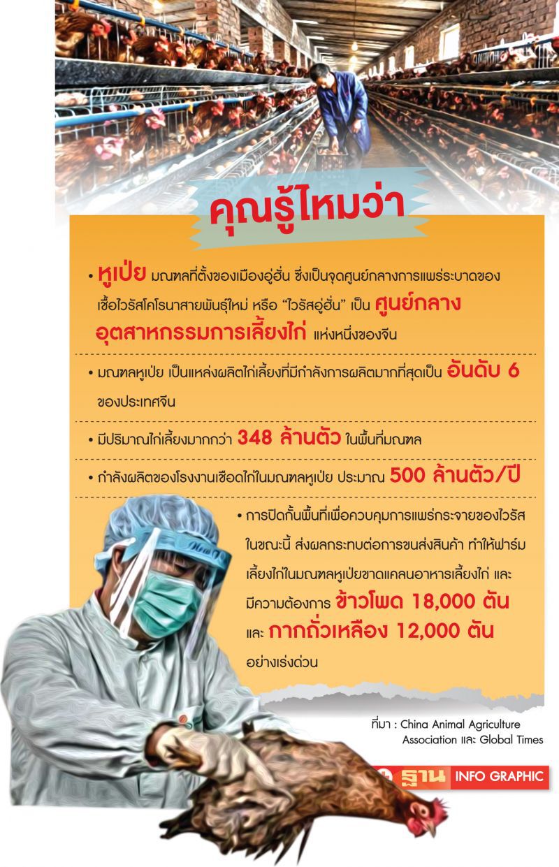 ปศุสัตว์หูเป่ยสะเทือน ฟาร์มถูกตัดขาด ไก่เลี้ยงจ่อตายหลายร้อยล้านตัว