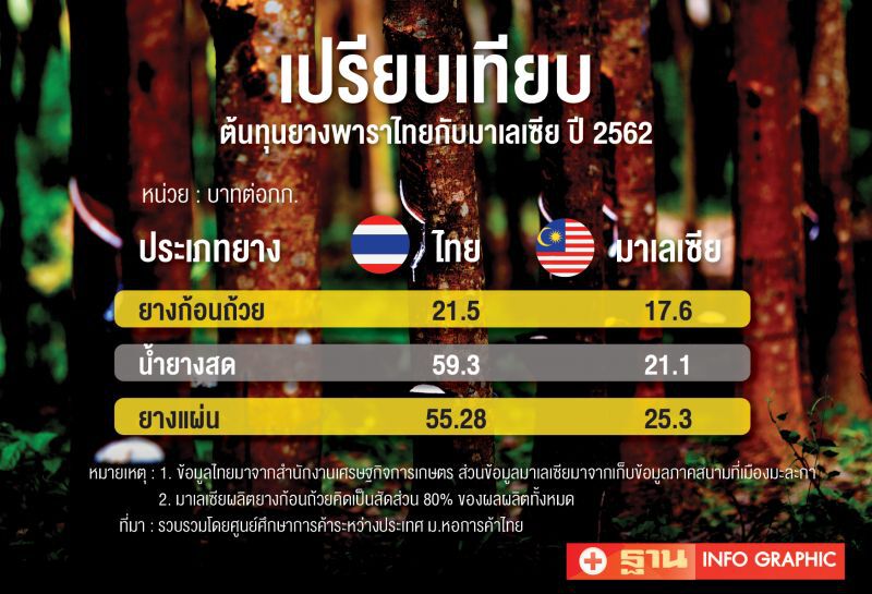 ส่อง “ต้นทุนยางมาเลย์”  สะท้อนยางพาราไทย