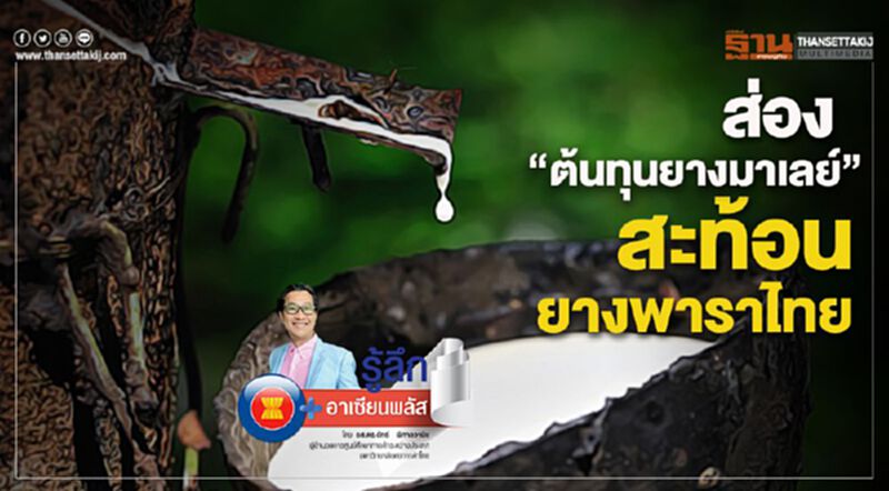 ส่อง “ต้นทุนยางมาเลย์” สะท้อนยางพาราไทย ส่อง “ต้นทุนยางมาเลย์” สะท้อนยางพาราไทย