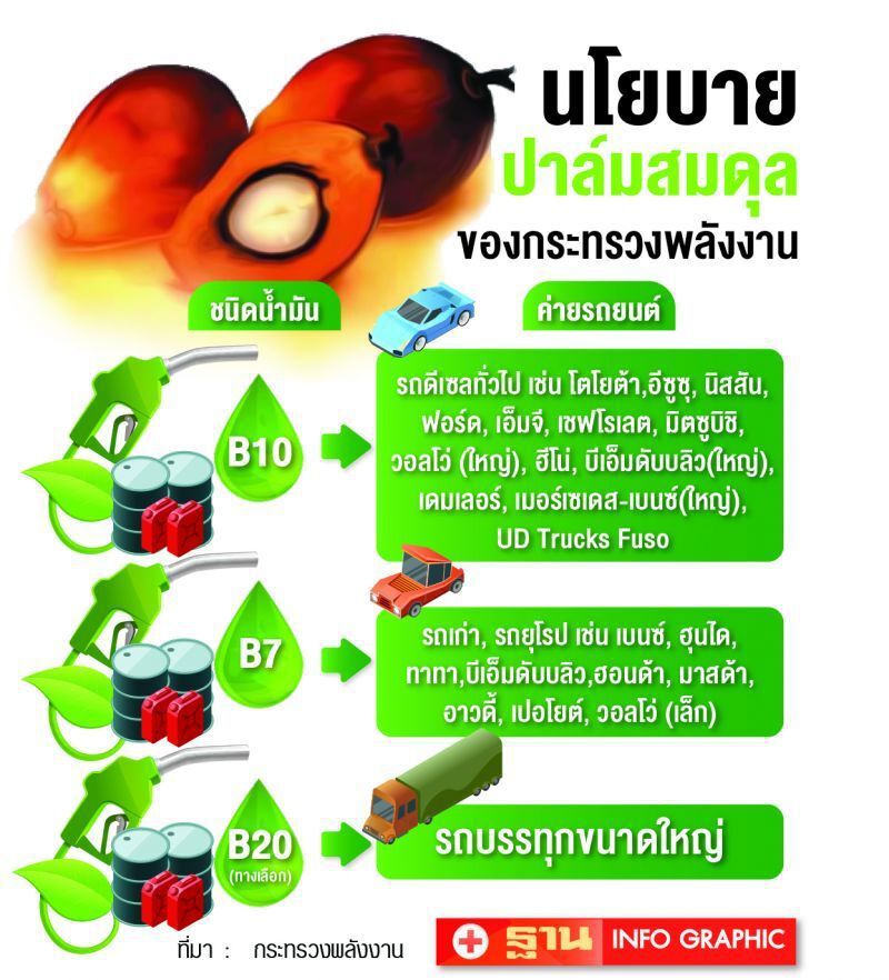 สั่งสอบหลังชาวสวนโวยโดนพ่อค้ากดราคาซื้อปาล์ม